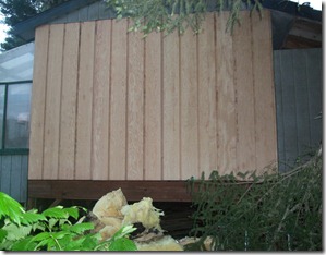 Shed Renovation 070