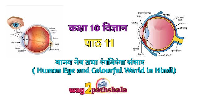 NCERT कक्षा 10 विज्ञान पाठ 11 मानव नेत्र तथा रंगबिरंगा संसार Human Eye and Colourful World in Hindi (way2pathshala)