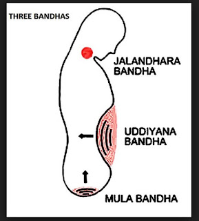 yoga bandha