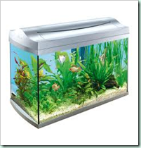 aquarium