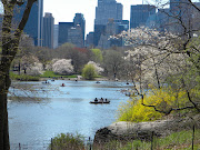 Sunshine in Central park, turtles, racoons, Uma Thurman and the fallen child (dscn )