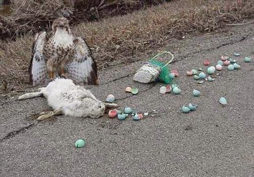 Horus Versus The Easter Bunny