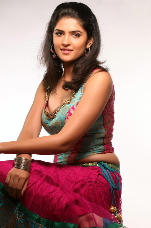 Actress Deeksha Seth In Wanted Movie Photo Gallery cleavage