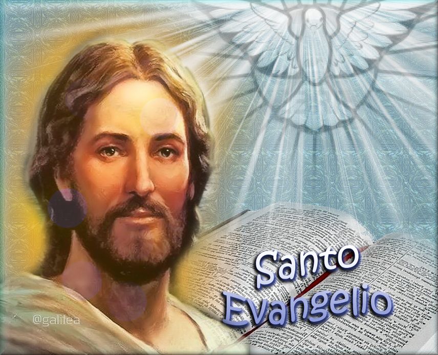 Corazón de Jesús en Vos Confío Santo Evangelio 22 de Enero 2024