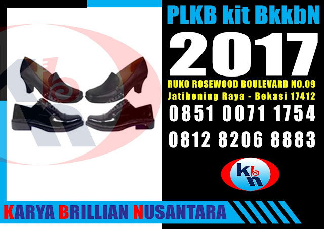 plkb kit bkkbn 2017, ppkbd kit bkkbn 2017, kie kit bkkbn 2017, genre kit bkkbn 2017, distributor produk dak bkkbn 2017,