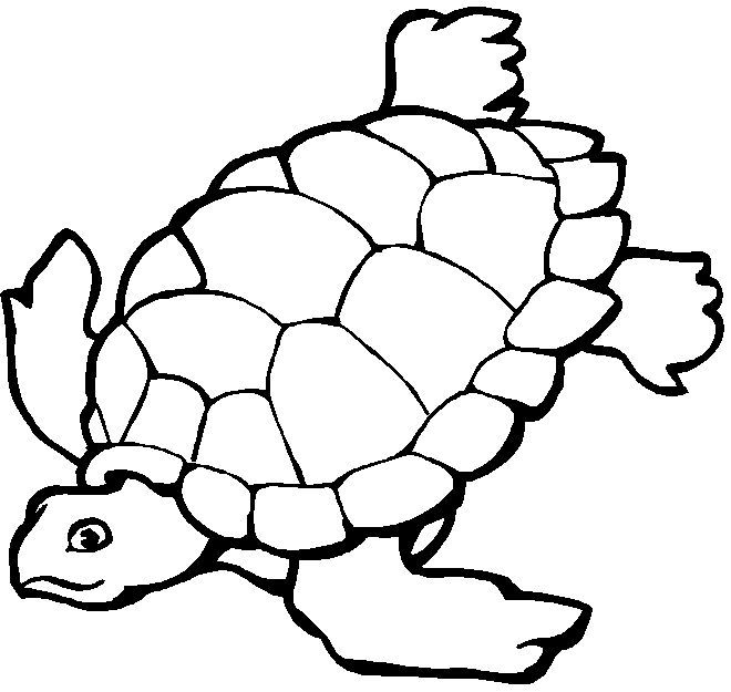 Tartaruga marinha para colorir. Preserve o meio ambiente.