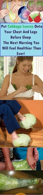 The Healing Power of Cabbage Leaves: Alleviate Frequent Headaches by Applying Them to Your Chest and Legs Before Bedtime
