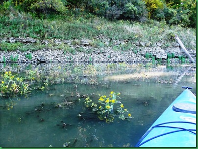 Coralville Lake 013