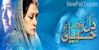 DIL MUHALLEY KI HAWELI EPISODE 3-IST JUNE 2013 WATCH ONLIE 