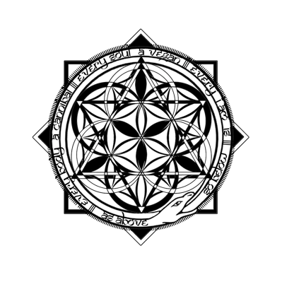 [The Seventh Seal of Sol-OMan] Flower of Life, metations cube, sacred geometry