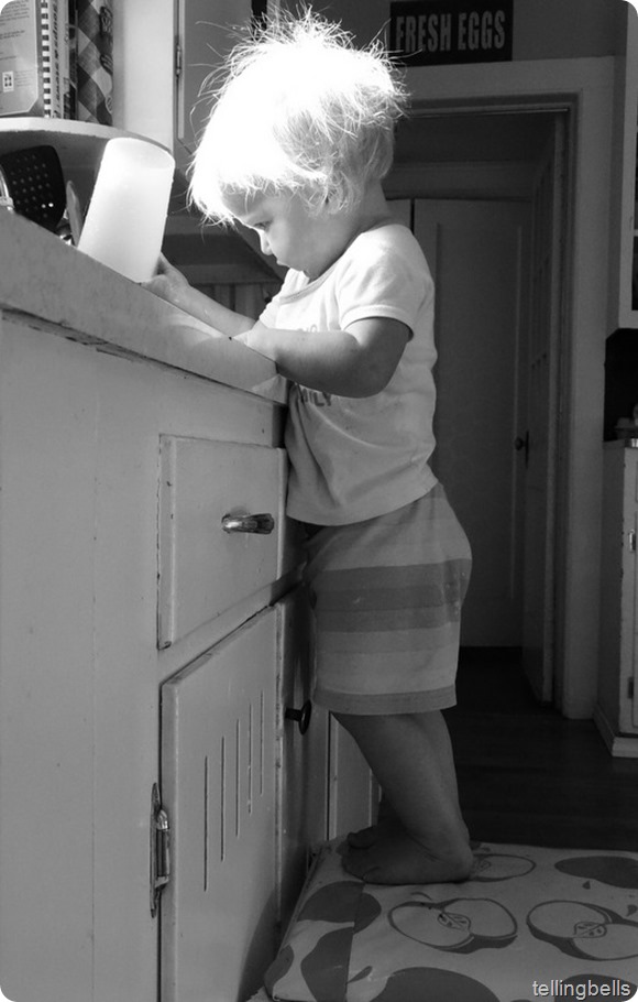DSC05388