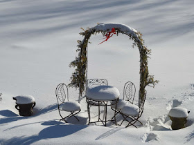 Winter Garden in Snow