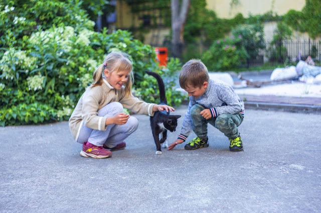 gatti per bambini