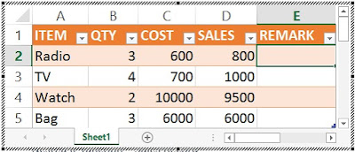 Nested IF function – Sales Record