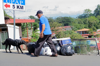 Man walking by dog getting into garbage bag in Puriscal.