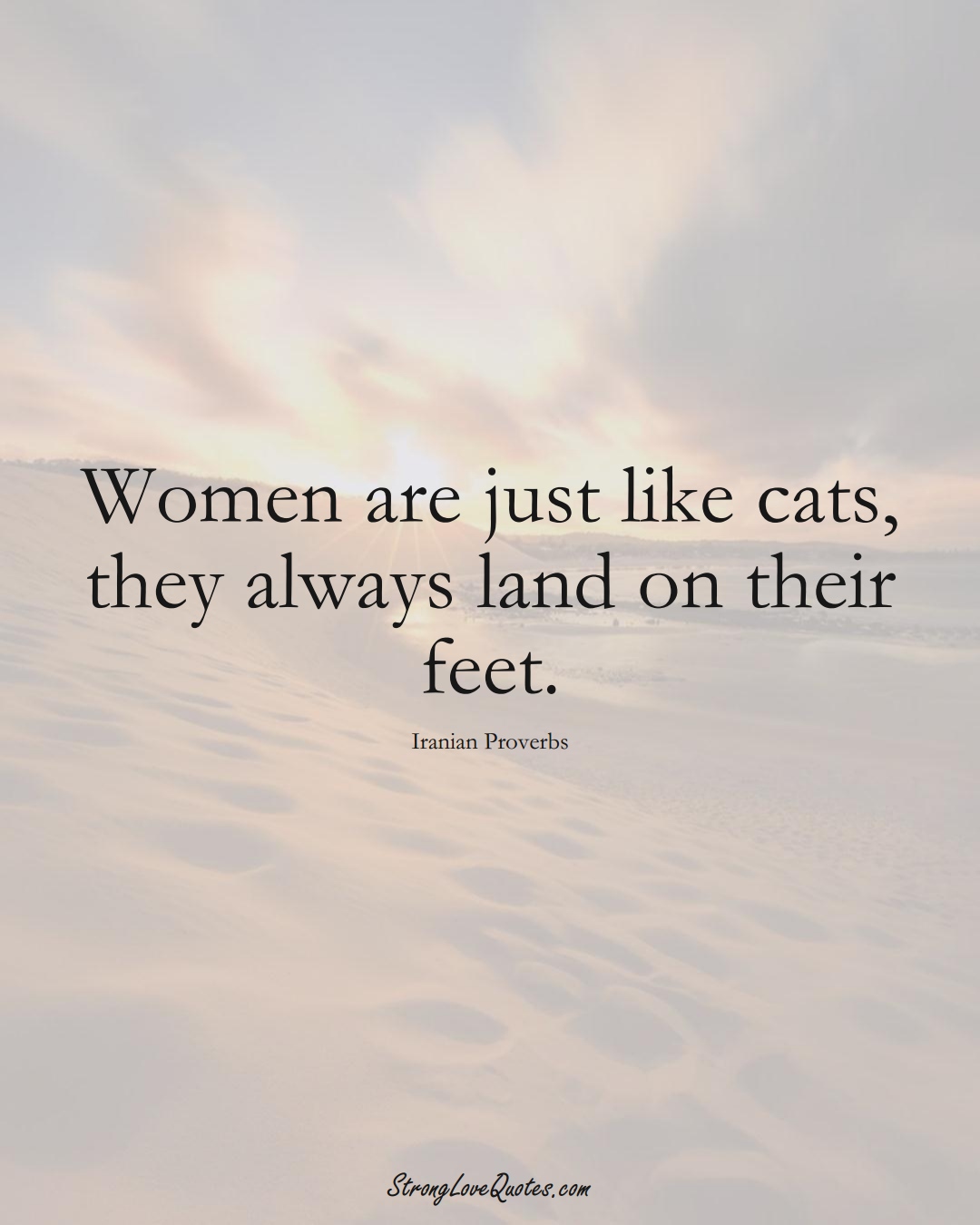 Women are just like cats, they always land on their feet. (Iranian Sayings);  #MiddleEasternSayings