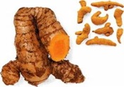 turmeric1