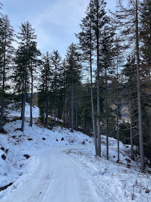 Passeggiata sulla neve parco Gigante Baranci