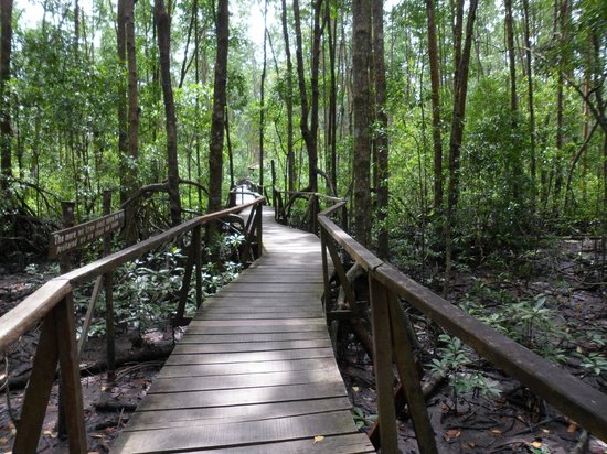 Jalan-jalan ke Penghujung Benua Asia, cuti ke Tanjung Piai Johor, harga tiket ke taman negara tanjung piai,