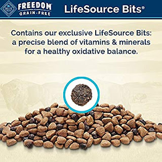 Healthy dog food Siberian Husky