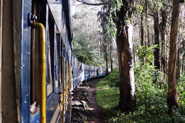 Nilgiri Mountain Train