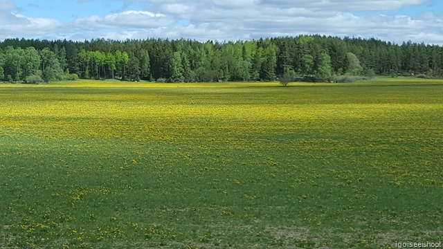 Sweden countryside