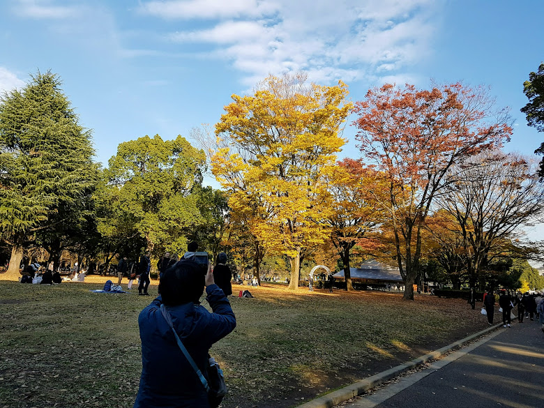 代代木公園內，嘗試捕捉秋色景