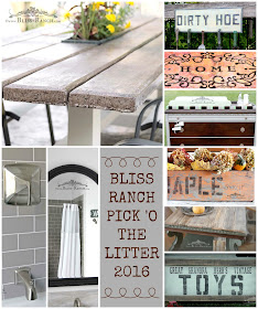 Bliss-Ranch.com Top Projects of 2016