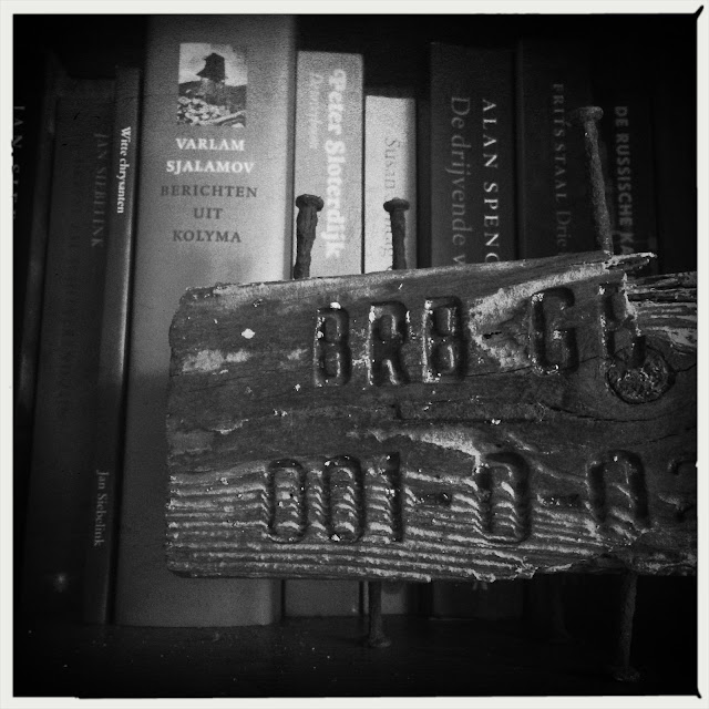 Hout en boeken. Hipstamatic: Vincent + AO BW. Foto: Robert van der Kroft