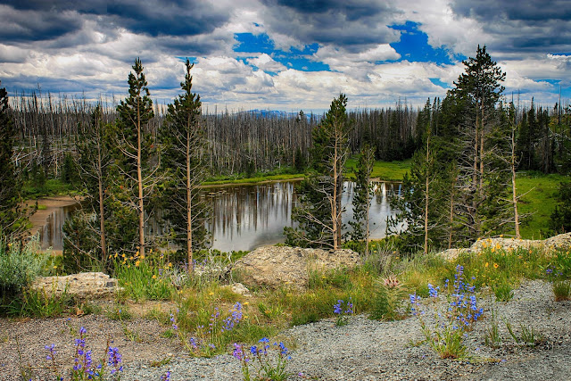 Yellowstone Lake east entrance Absaroka volcanics Buffalo Bill Cody Wyoming copyright RocDocTravel.com