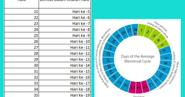waktu tidak subur wanita