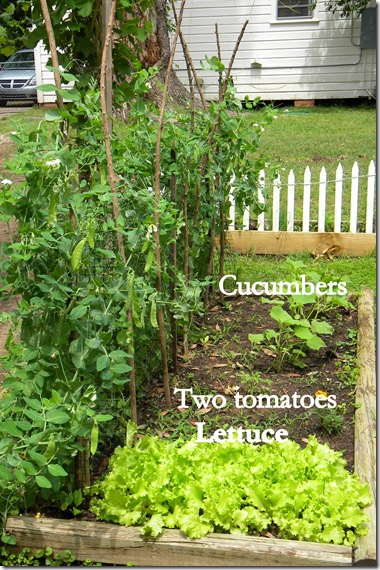 labeled garden 4