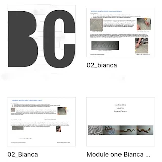 bianca censori architecture portfolio