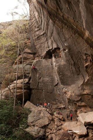 RRG-28-2012-04-2-17-17.jpg
