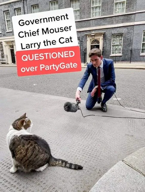 Larry the cat interviewed over Partygate