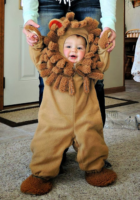 My grandson in his lion costume for Halloween