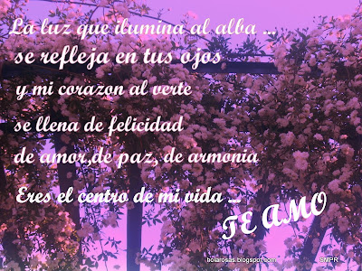 amor frases. imagenes de amor con frases.