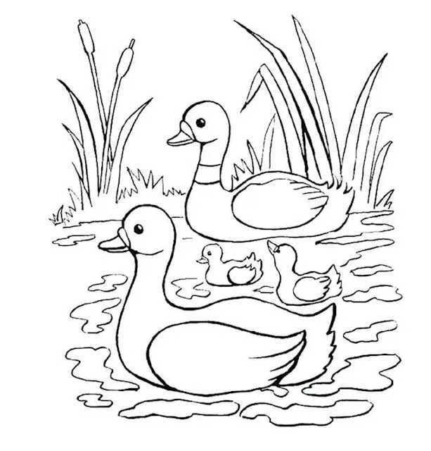 Cute Duckling Coloring Pages PDF