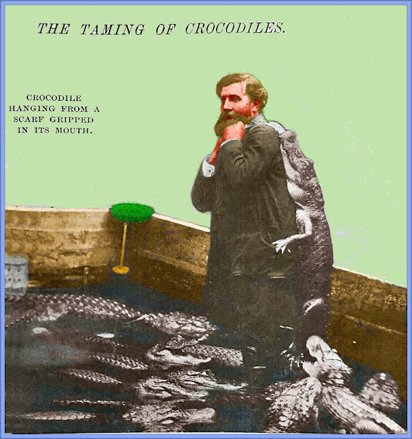 Monsieur Pernelet - The Taming Of Crocodiles