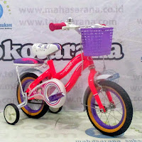 12 wimcycle light ctb sepeda anak