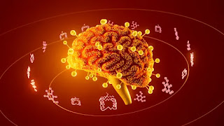 🧬 Mastering Biology in 2025: The Smart Student's Guide to Learning Faster, Deeper, and Smarter