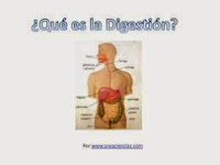 http://cplosangeles.juntaextremadura.net/web/edilim/tercer_ciclo/cmedio/las_funciones_vitales/la_funcion_de_nutricion/digestion/la_digestion/la_digestion.html