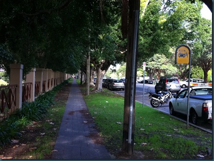 photo (10)