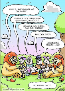 fenerbahçe karikatürleri