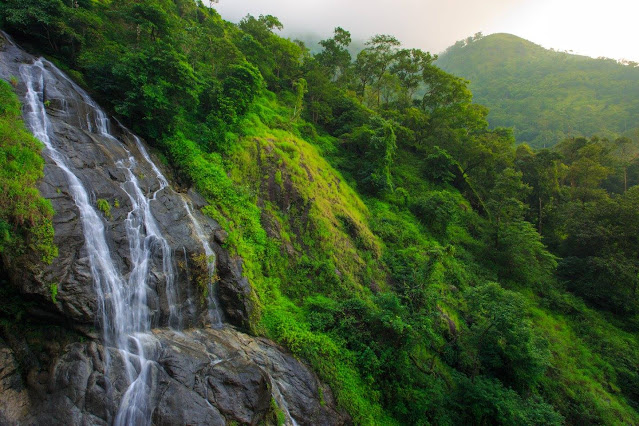 Nature around the waterfall