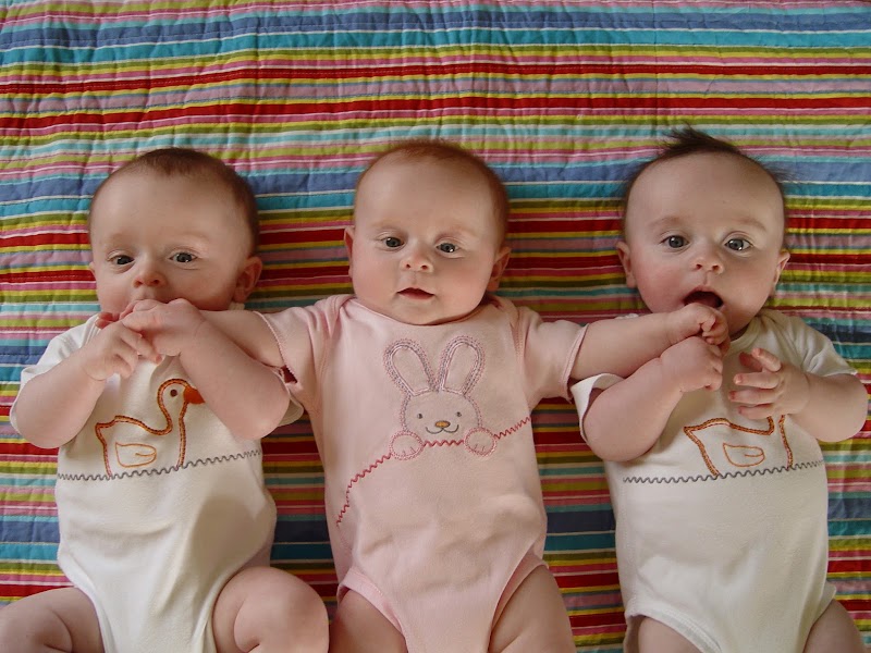 16+ Inspirasi Terkini Gambar Bayi Kembar