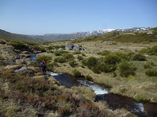 Arroyo de Riopedro