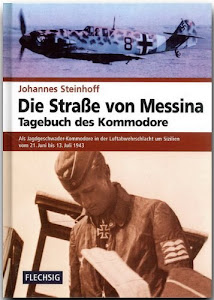 ZEITGESCHICHTE - Die Straße von Messina - Tagebuch des Kommodore - FLECHSIG Verlag