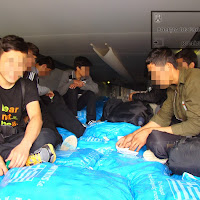 (foto/video) 23 de cetateni afgani, ascunsi printre pepeni verzi si cartofi, descoperiti la P.T.F. Calafat
