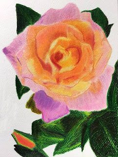 @Rose colored pencil by Karen Wiesner
